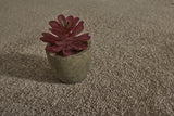 Soprano Super Soft Carpet