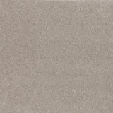 Temperament Carpet