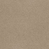 Temperament Carpet