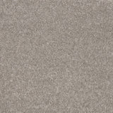 Timeless Elegance Elite Carpet
