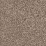 Trident Heathers Carpet