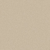 Trident Plains Carpet