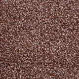 Tulsa Dense Twist Carpet