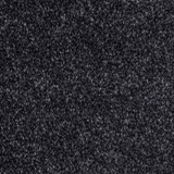 Tulsa Dense Twist Carpet