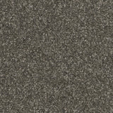 Twisty Touch Carpet