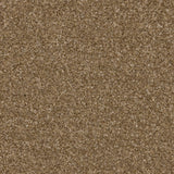 Twisty Touch Carpet
