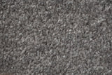Willow Twist Carpet
