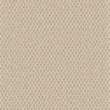 Primo Textures Weave Carpet
