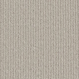 Primo Textures Ribbed Carpet