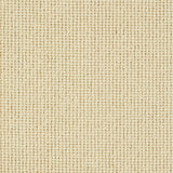 Charter Plain Loop Carpet
