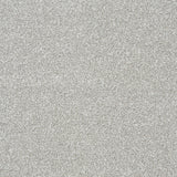 StainFree Twist Carpet