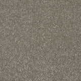 StainFree Twist Carpet