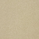 StainFree Twist Carpet