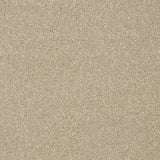 StainFree Twist Carpet