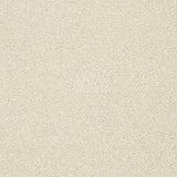 StainFree Twist Carpet