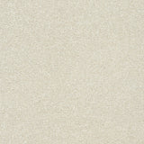 StainFree Twist Carpet