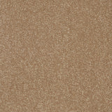StainFree Twist Carpet