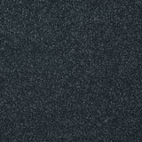 StainFree Twist Carpet