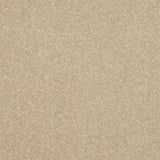 StainFree Ultra Carpet