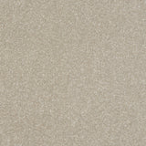 StainFree Ultra Carpet