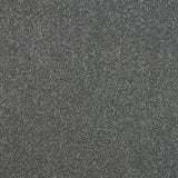 StainFree Ultra Carpet