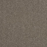 StainFree Ultra Carpet