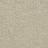 StainFree Ultra Carpet