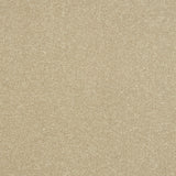 StainFree Ultra Carpet