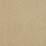StainFree Ultra Carpet