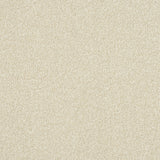 StainFree Ultra Carpet