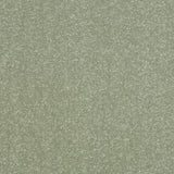 StainFree Ultra Carpet