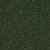 StainFree Ultra Carpet