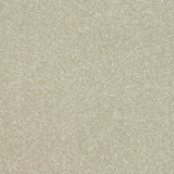 Stainfree Maximus Carpet