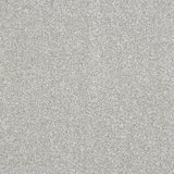 Stainfree Maximus Carpet