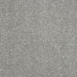 Stainfree Maximus Carpet