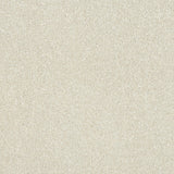 Stainfree Maximus Carpet
