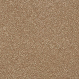 Stainfree Maximus Carpet