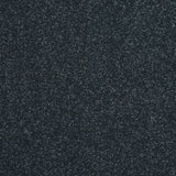 Stainfree Maximus Carpet