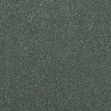 Stainfree Maximus Carpet