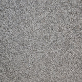Aries Saxony Carpet