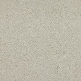 Love Story Seduction Carpet