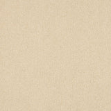 Euphoria Saxony Carpet