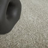 Anastasia Super Soft Saxony Carpet