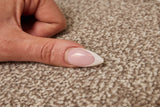 Aspen Twist Carpet