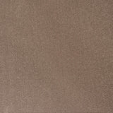 Avalon Twist Carpet