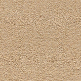 Kesari Saxony Carpet