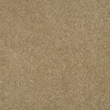 Magical Feeling Carpet