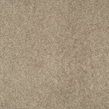 Magical Feeling Carpet