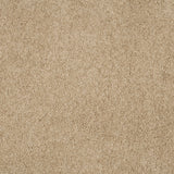 Magical Feeling Carpet
