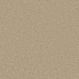 Bliss Deep Pile Carpet